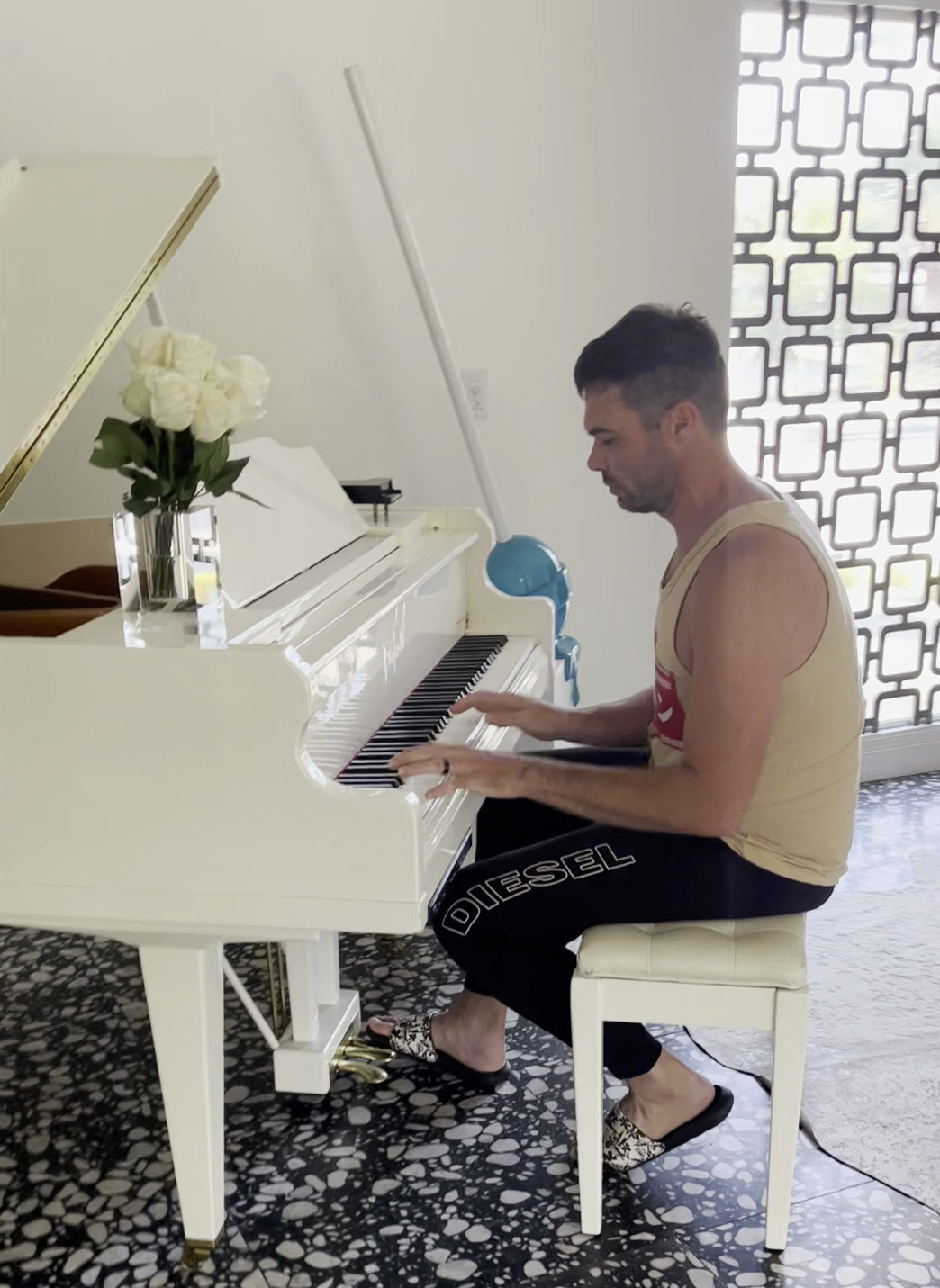 Personal photo 7 - Playing a white piano